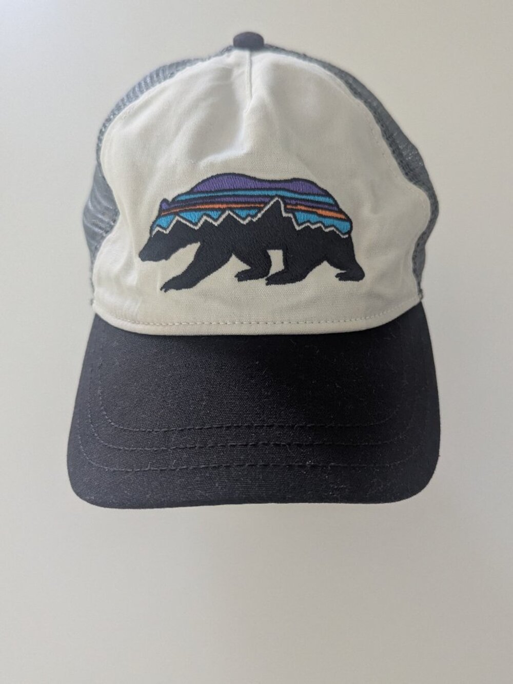 Patagonia - women's ball cap